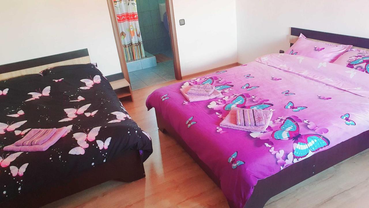 Vila Karina Appartement Carta  Buitenkant foto
