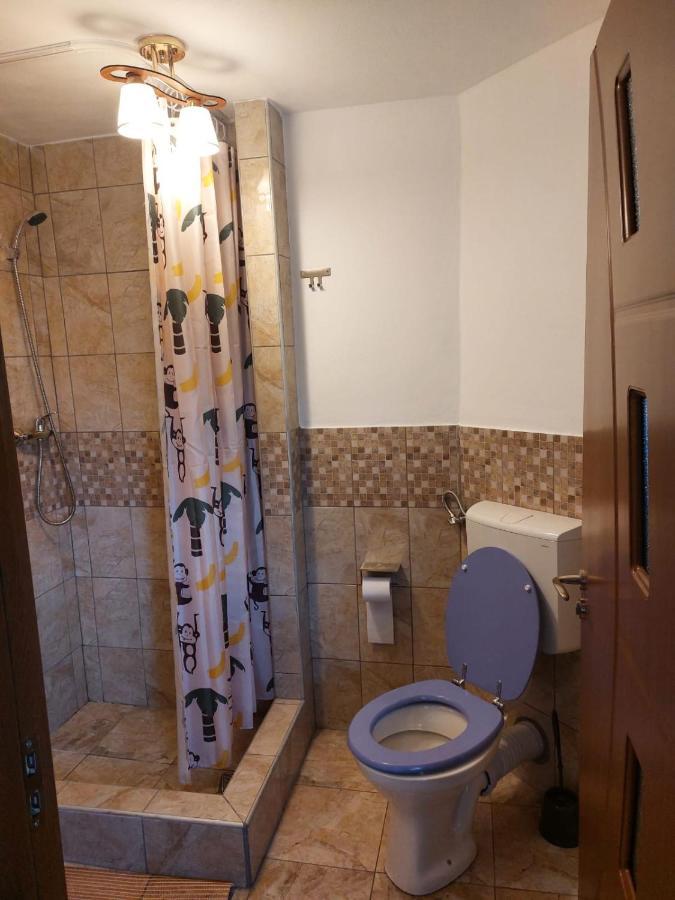 Vila Karina Appartement Carta  Buitenkant foto