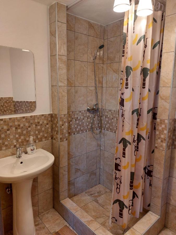 Vila Karina Appartement Carta  Buitenkant foto